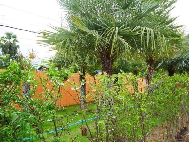 Tinna Resort Ban Nong Mai Ngam Eksteriør billede